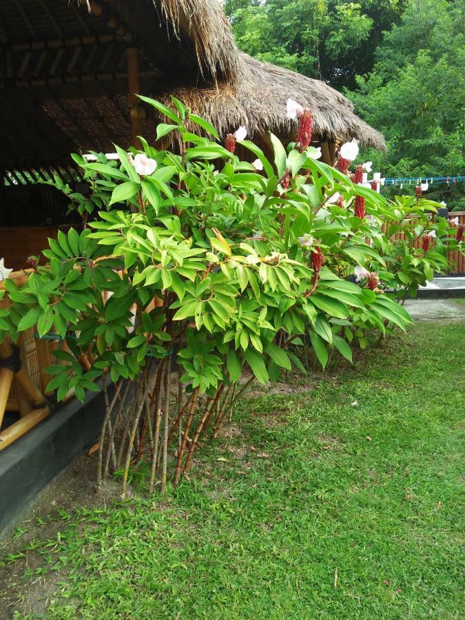 Tua Tua Keladi Bungalows กิลิไอร์ ภายนอก รูปภาพ